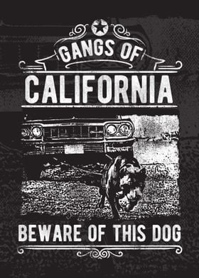 gang of california