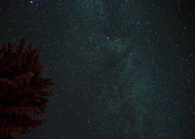 Stars above the campfire