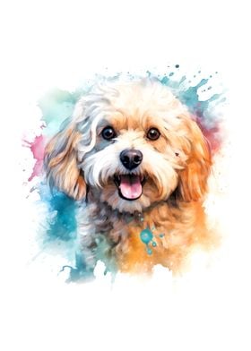 Watercolor Maltipoo Dog