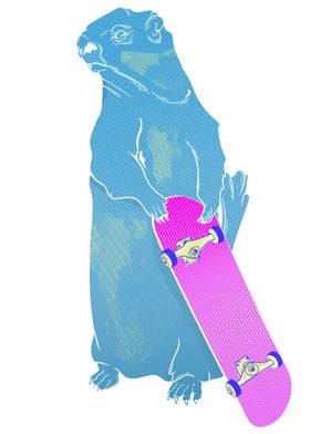 Marmot Skateboarding
