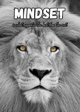 MINDSET LION ANIIMAL