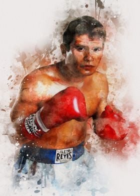 Julio Cesar Chavez Boxing