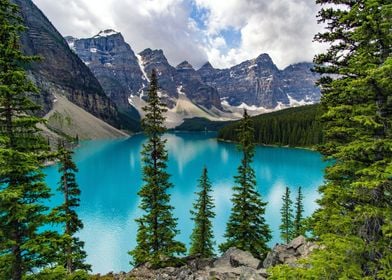 Forest Mountains Canada