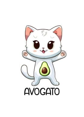 AVOGATO Funny Cat Meme 