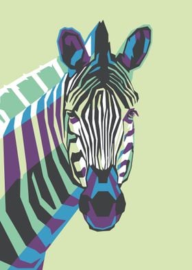 Zebra Illustration