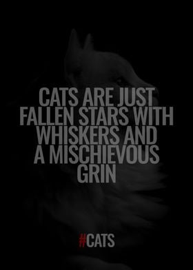 Quotes about Cat