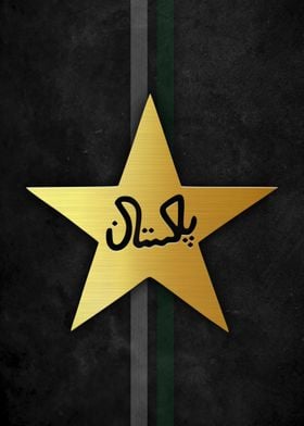 Pakistan Cricket 