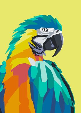 Parrot Illustration