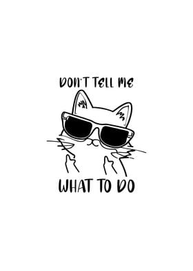 What to do Funny Cat Quote