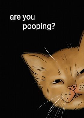 Brown Cat are you pooping