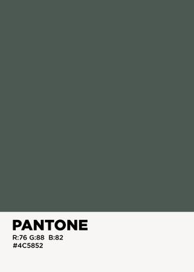 color pantone