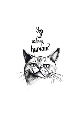 Lazy Cat Funny Cat Quote 