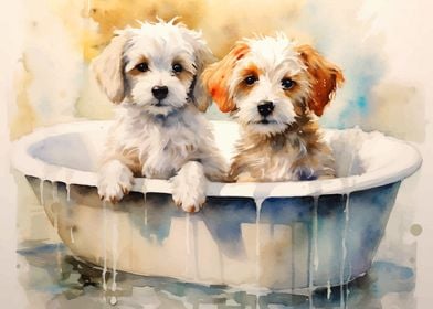 Twin Puppy in Bath