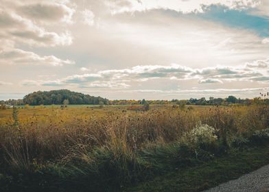 Golden Hour on an Autumn M