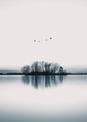 Birds Over Lake