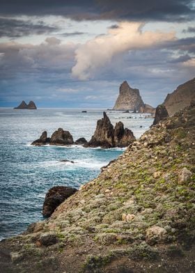 Tenerife Rocky Coast