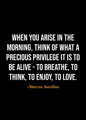 Marcus Aurelius quotes 