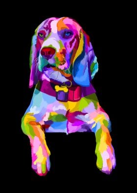 Animal Beagle Dog