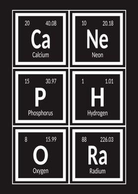 Element of Canephora