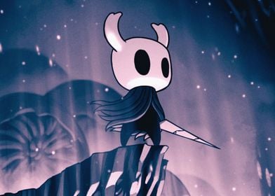 hollow knight