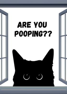 BLACK CAT ARE YOU POOPING 