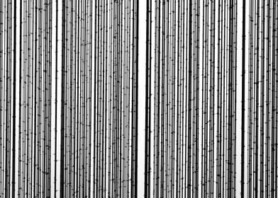 Striped Pattern Texture