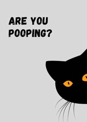 BLACK CAT ARE YOU POOPING