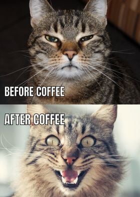 Coffee Cat meme funny