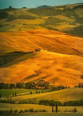 Toscana Farm Over Hill