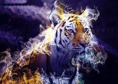 Wild Tiger 01