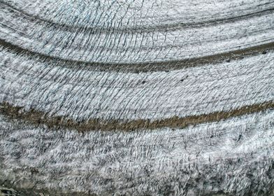 Close up from a Glacier