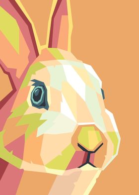 Rabbit Illustration