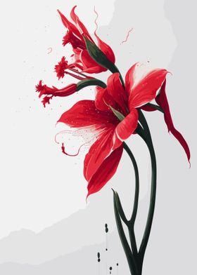 Flower Red Amaryllis