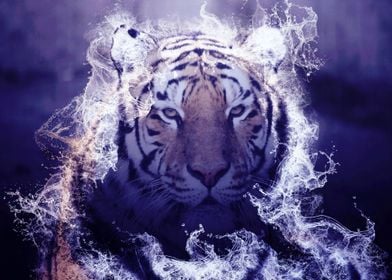 Wild Tiger 03