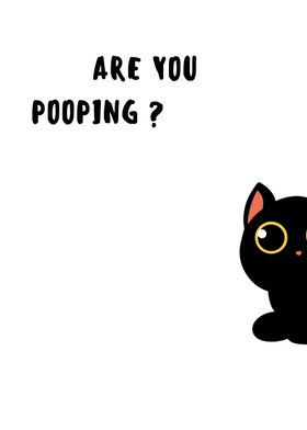 BLACK CAT ARE YOU POOPING