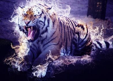 Wild Tiger 02