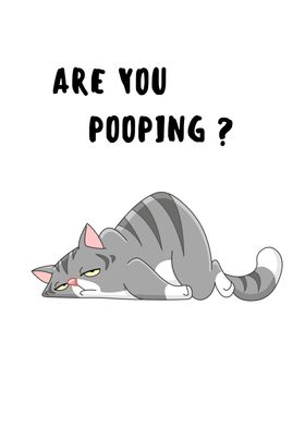 CAT ARE YOU POOPING