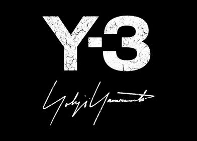 y 3