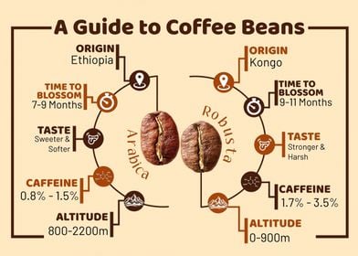 coffee guide cool