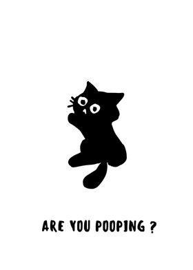 BLACK CAT ARE YOU POOPING