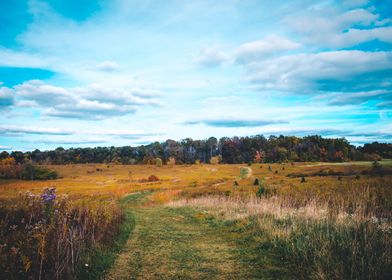 Path in an autumn meadow