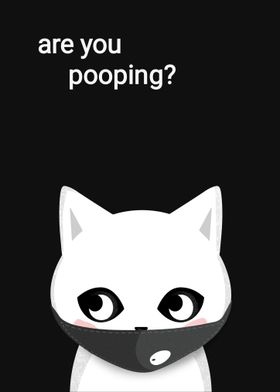 WHITE CAT ARE YOU POOPING