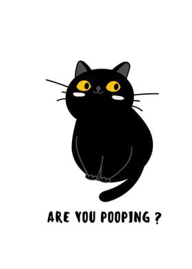 BLACK CAT ARE YOU POOPING