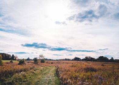 Hiking through a meadow