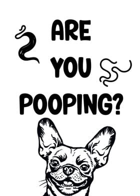 Are you pooping dog