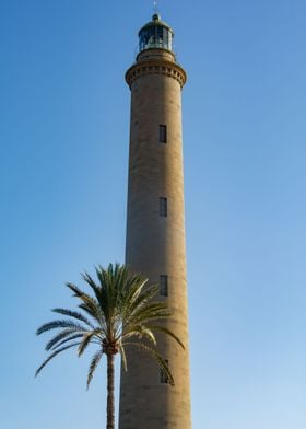Lighthouse with palm tree