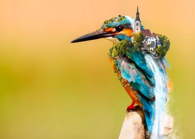 Kingfisher with a village 