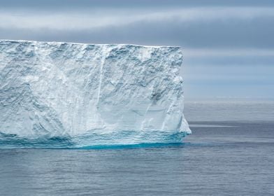 Iceberg