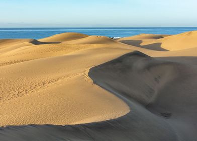 The desert by the sea