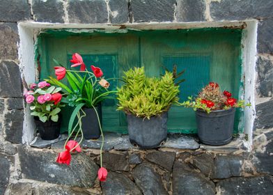 Flower pots on the window